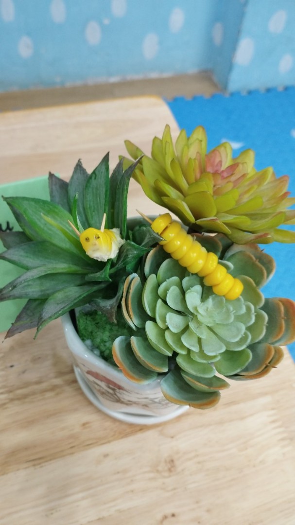 co-so-vat-chat co-so-vat-chat