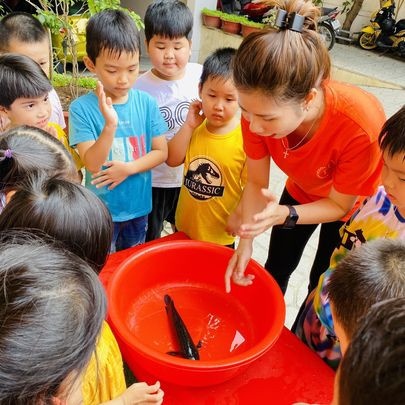 Trường mầm non Hoa Trà My III (Camellia school 3) – Tạ Quang Bửu