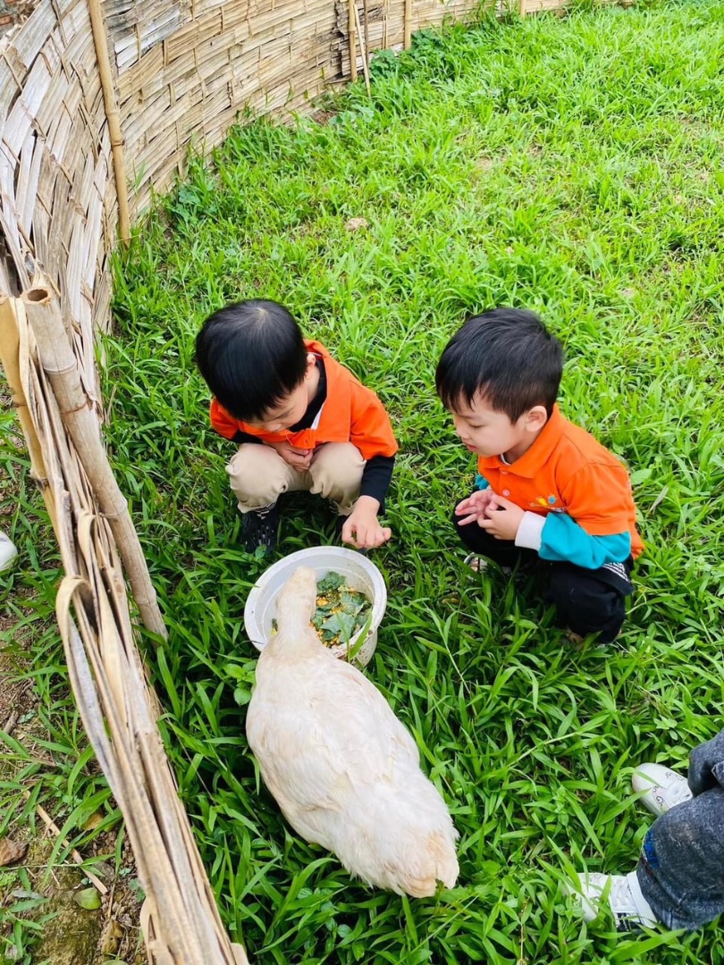 Trường mầm non Thực Hành LITTLE HARVARD - Tân Tây Đô