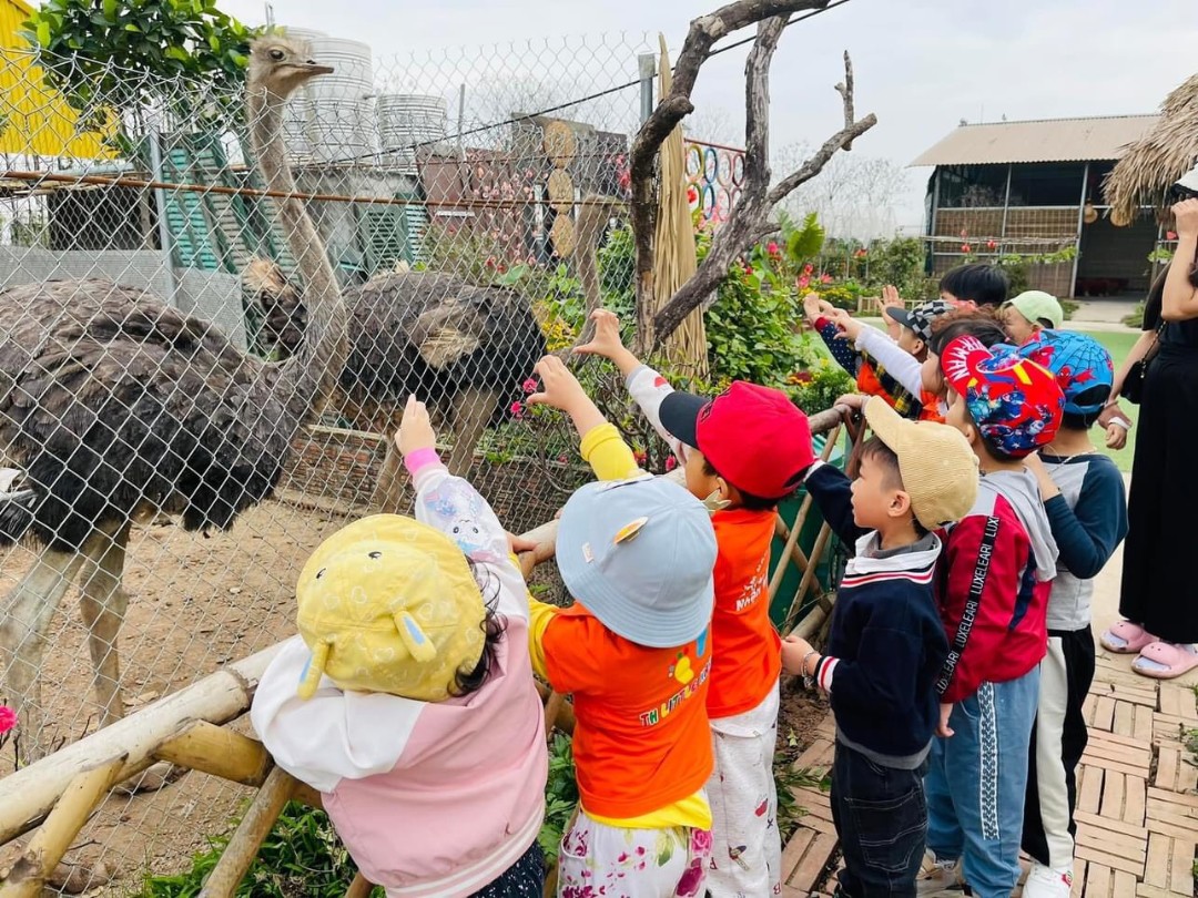 Trường mầm non Thực Hành LITTLE HARVARD - Tân Tây Đô