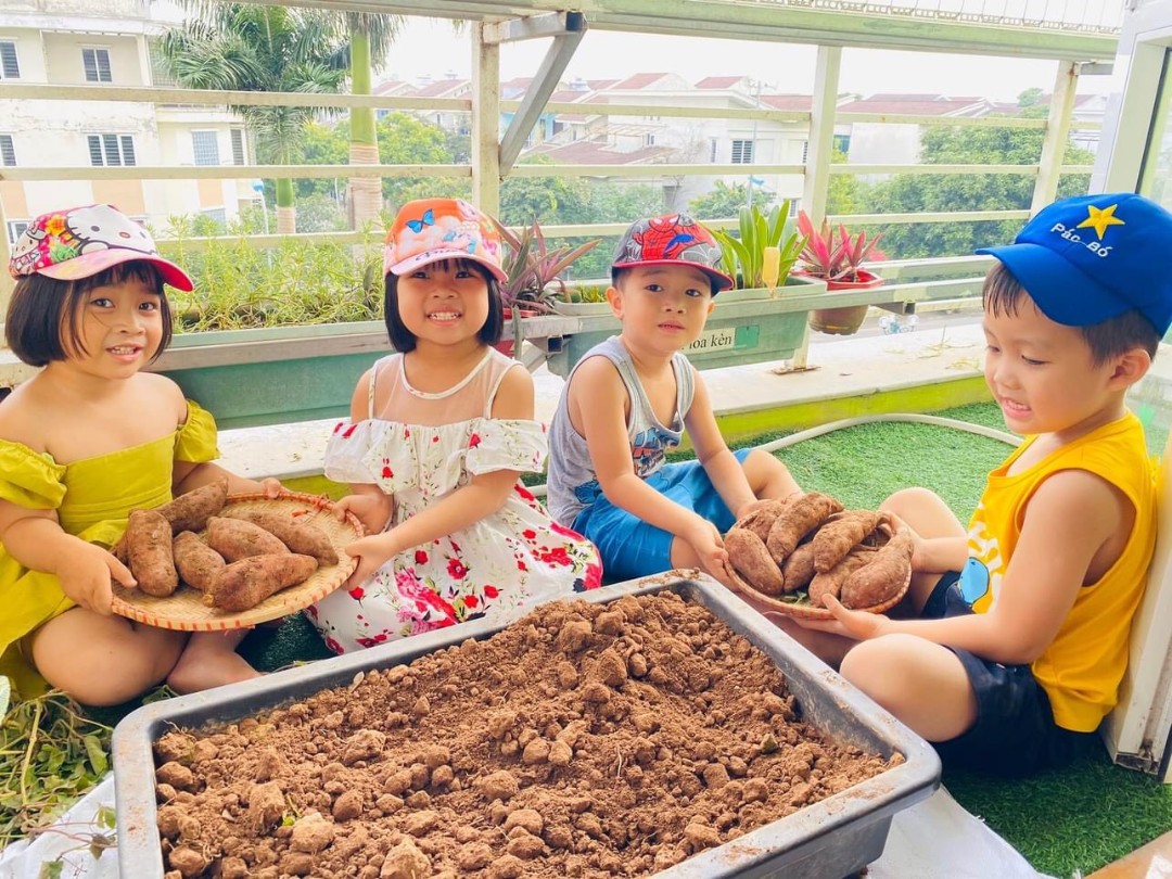 Trường mầm non Thực Hành LITTLE HARVARD - Tân Tây Đô