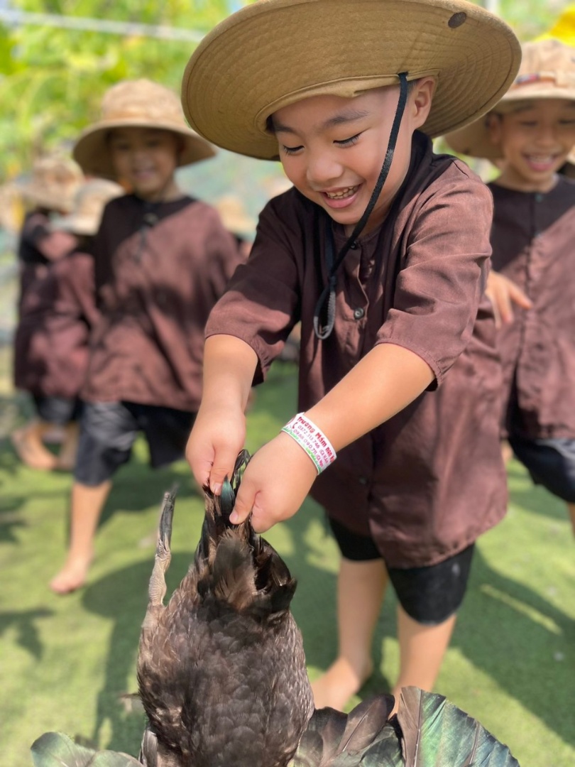 Trường mầm non Ngôi Sao Đỏ - Bình Trị Đông A