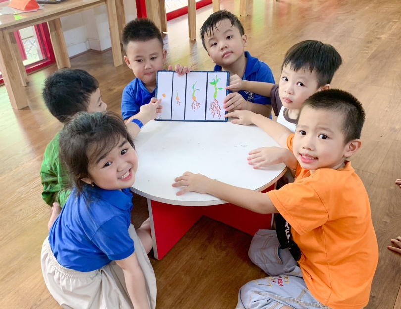 Trường mầm non Ngôi Sao Đỏ - Bình Trị Đông A