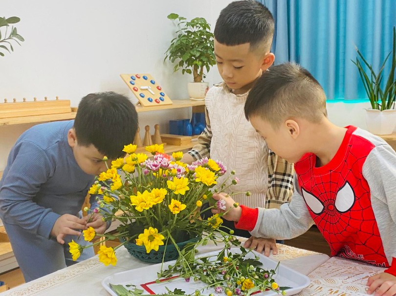 Trường mầm non Hoa Hướng Dương - Tứ Hiệp Plaza