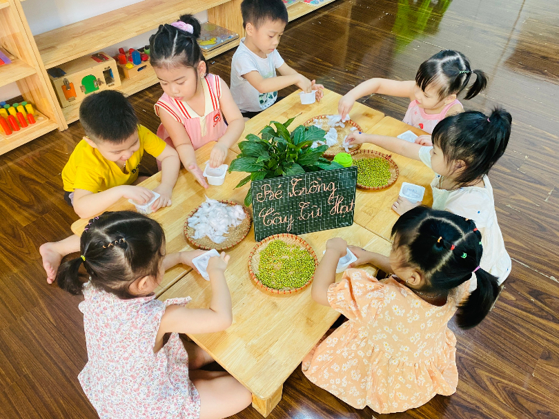 Trường mầm non Hoa Hướng Dương - Tứ Hiệp Plaza