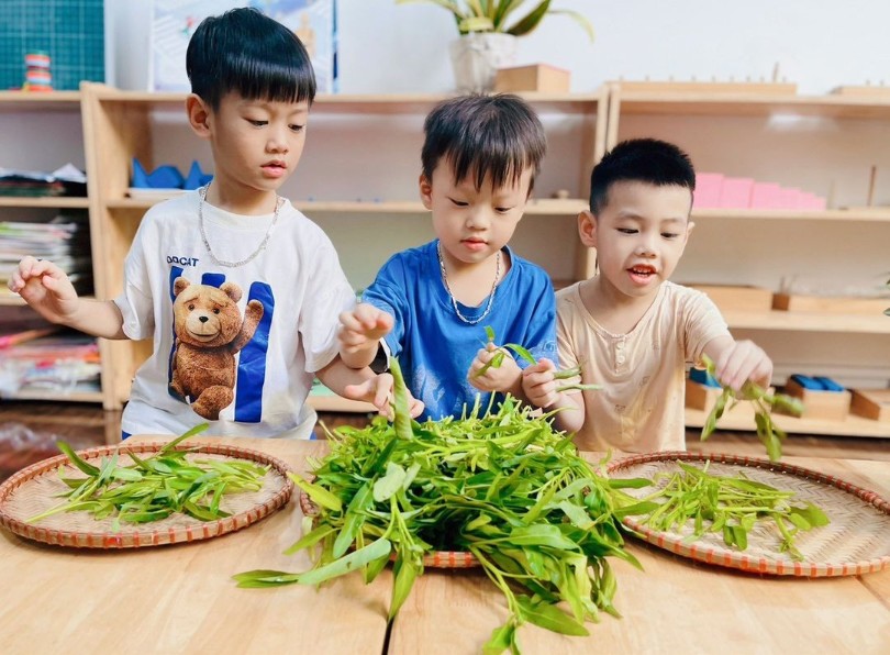 Trường mầm non Hoa Hướng Dương - Tứ Hiệp Plaza