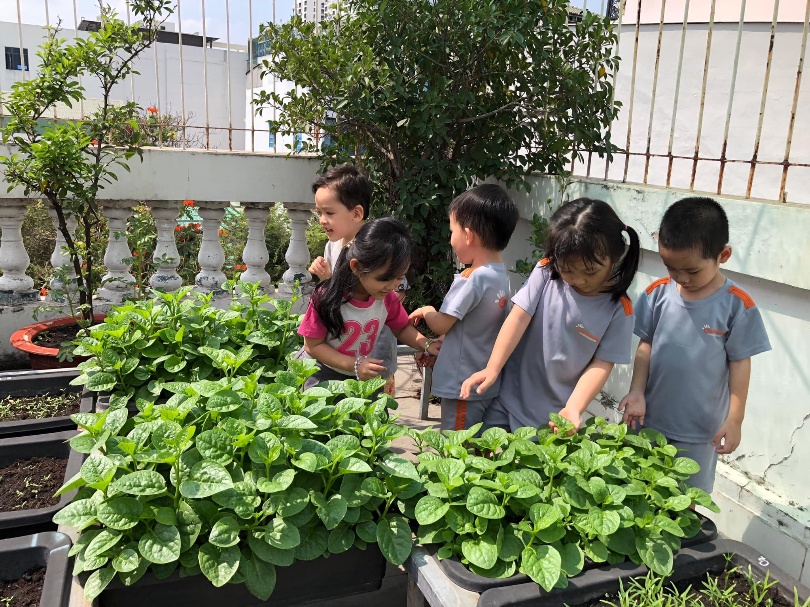 Trường mầm non Chìa Khóa Vàng (Golden Key Kindergarten) - Gia Phú