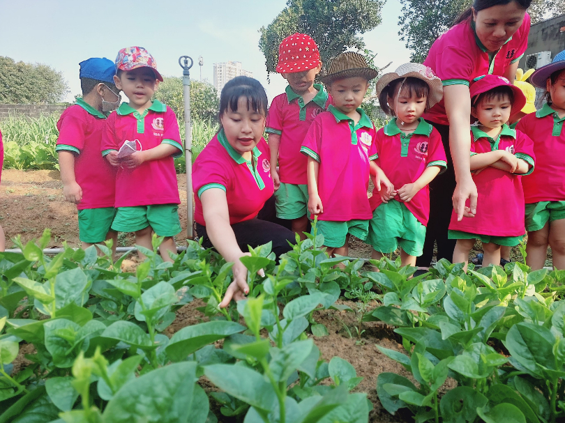 co-so-vat-chat co-so-vat-chat