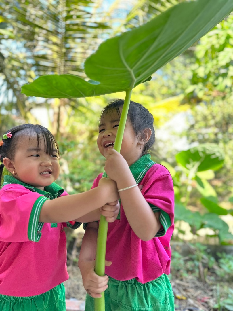 tien-ich-dich-vu tien-ich-dich-vu