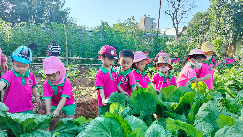 tien-ich-dich-vu tien-ich-dich-vu