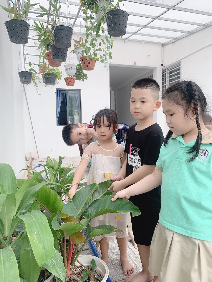 Ảnh thumbnail 2