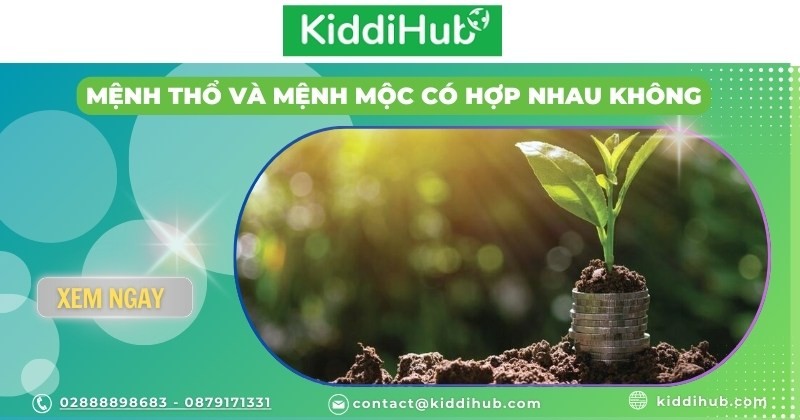 Mệnh thổ và mệnh mộc có hợp nhau không?