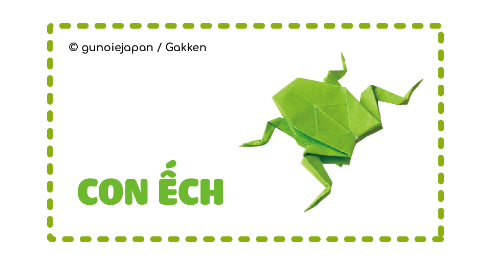 Hướng dẫn cách gấp con ếch dễ thương cùng KiddiHub