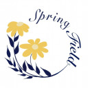 Mầm Non Cánh Đồng Mùa Xuân (SpringField Kindergarten) - Tân Phong, Quận 7