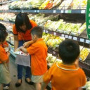 Mầm Non 1-6  Kim Tân