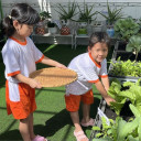 Mầm non 25A - Phường 14, Bình Thạnh