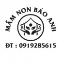 Mầm Non Bảo Anh - Thuận An, Bình Dương