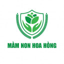Mầm Non Hoa Hồng - Ân Thi, Hưng Yên