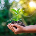 Mầm Non Mầm Xanh (Little Tree) - Hưng Đạo, Hải Phòng