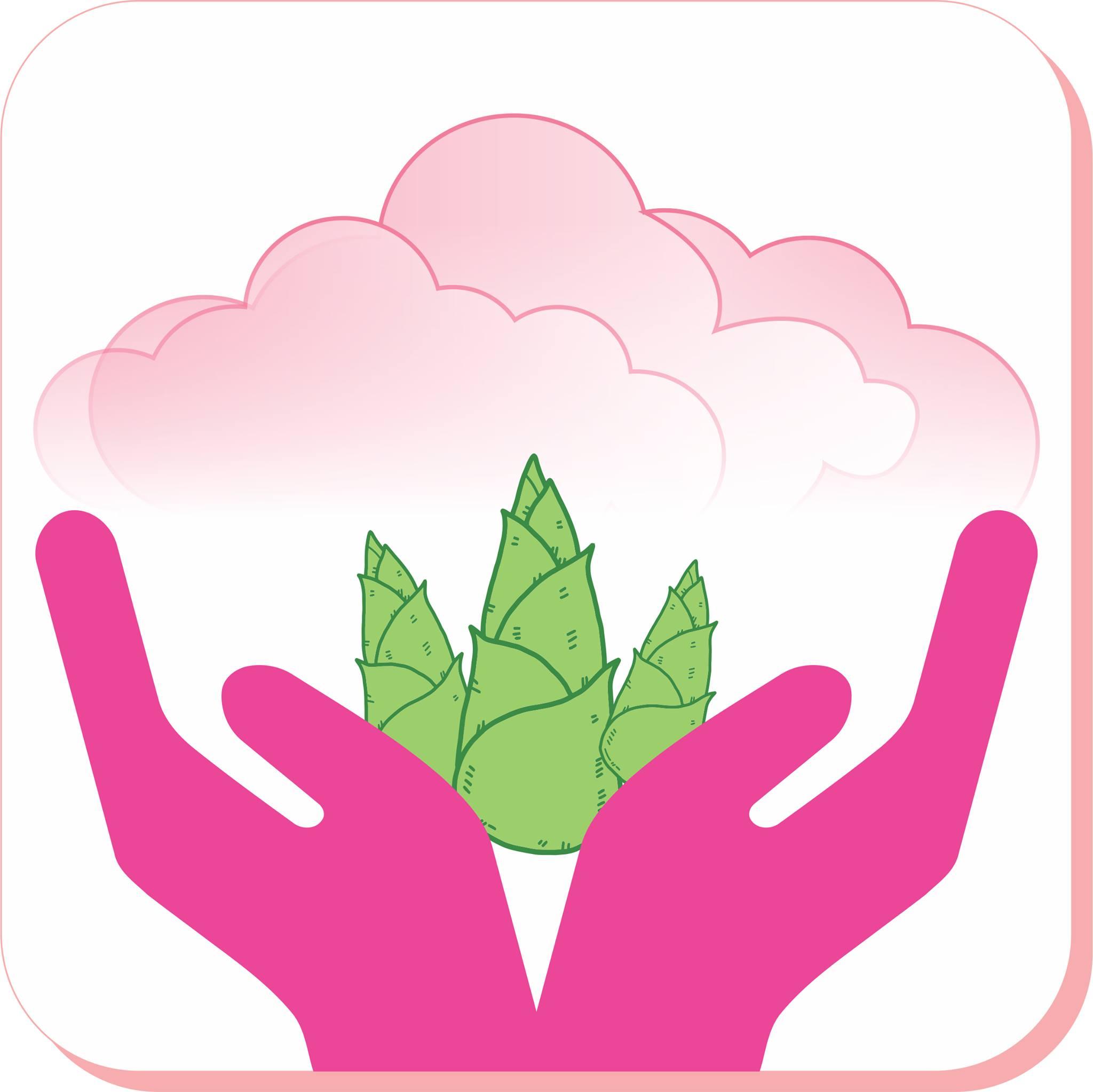 Mầm non Mây Hồng - Linh Đông