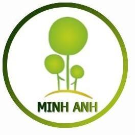 Mầm non Minh Anh - An Lạc