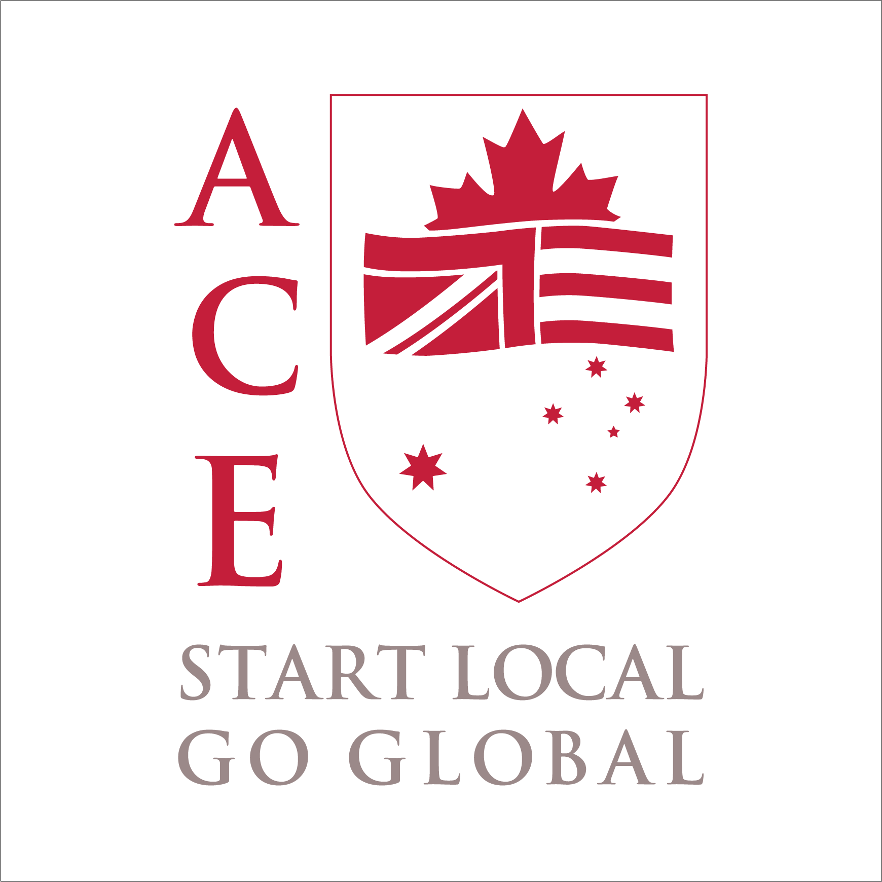 Trung tâm Anh ngữ Quốc tế ACE-Education - Thanh Khê