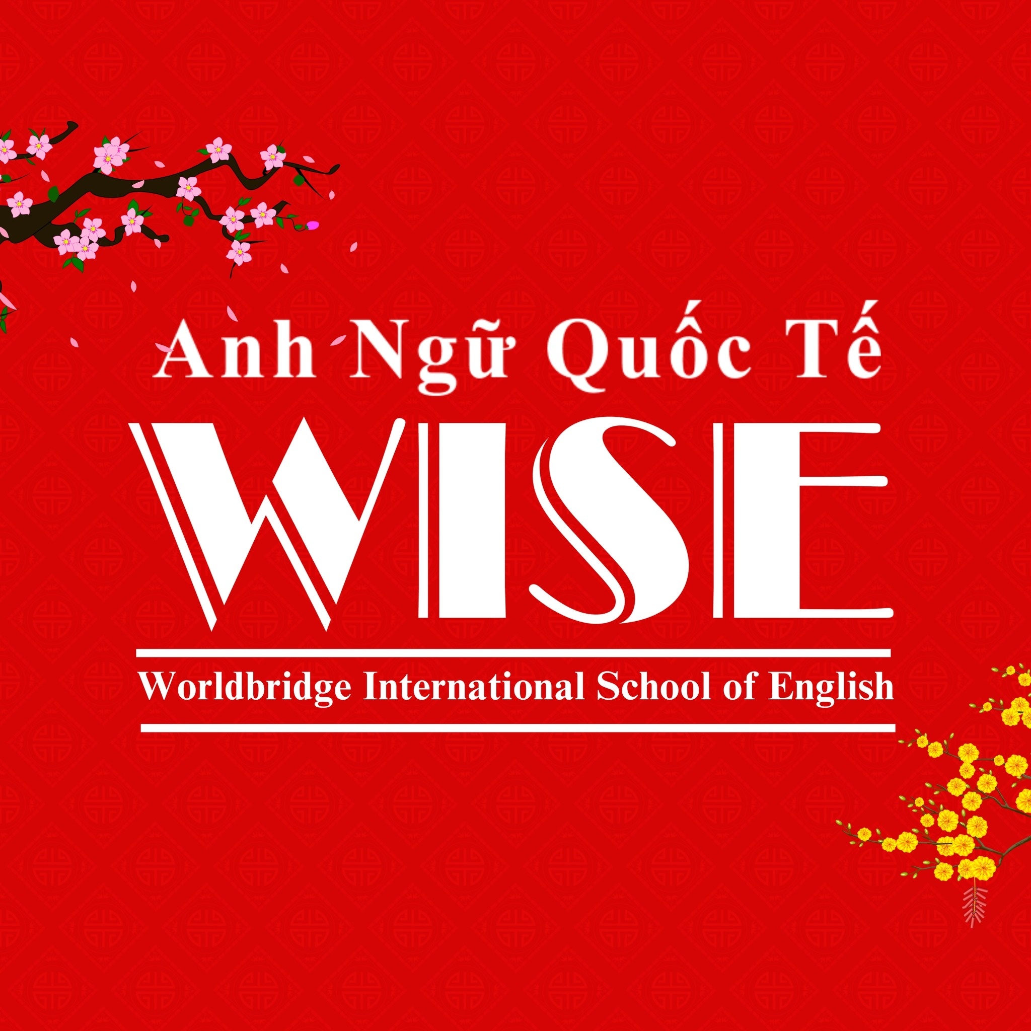 Trung tâm Anh ngữ Quốc tế WISE CS3 - Bình Định