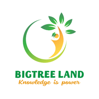 Trung tâm Bigtree Land - English Center - Thanh Trì