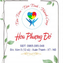 Trung Tâm Can Thiệp Sớm Hoa Phượng Đỏ - Nam Định