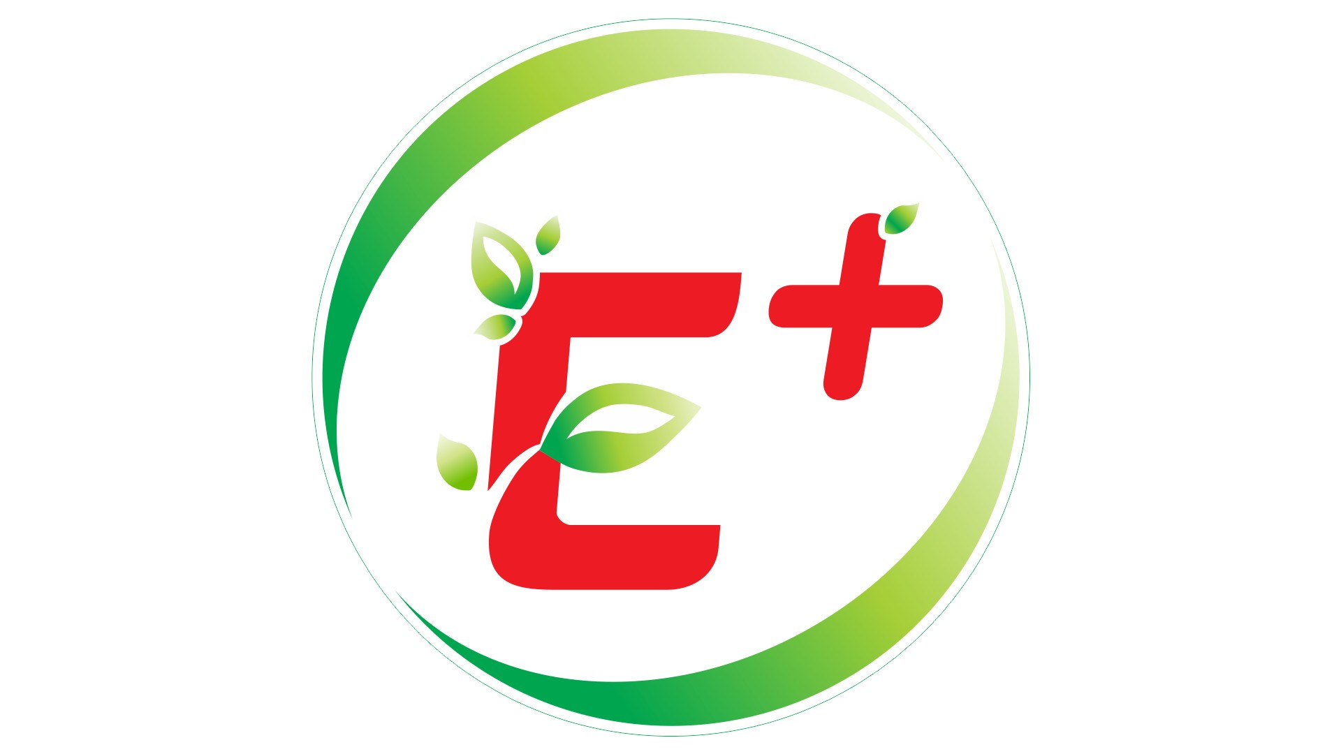 Trung Tâm Dạy Trẻ Chậm Nói Hoa Mặt Trời - Tân Sơn Nhì