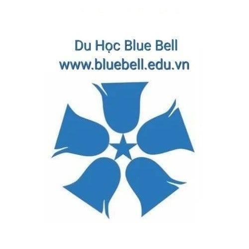 Trung tâm Du học Blue Bell - Quận 10