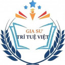 Trung Tâm Gia Sư Trí Tuệ Việt - Quận 3