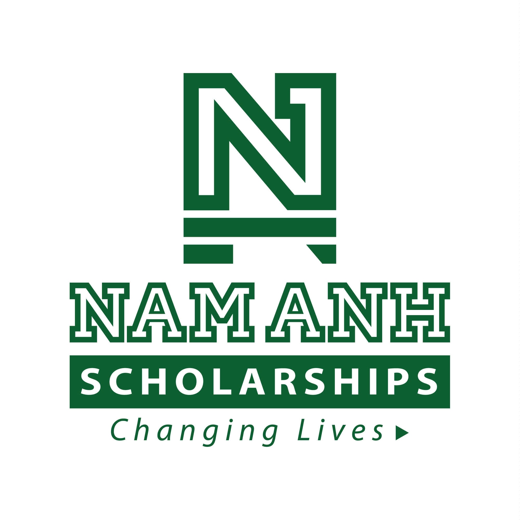 Trung tâm Luyện Thi Nam Anh Scholarships - Ô Chợ Dừa