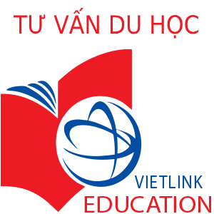 Trung tâm Vietlink Education Vietnam - Hải Châu
