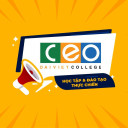 Trường Cao đẳng Đại Việt