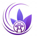 Trường Đại học Công nghệ và Quản lý Hữu Nghị