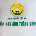 Trường Mầm Non Ánh Trăng Vàng (Golden Moon) - Xuân Đỉnh