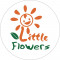 Mầm Non Những Bông Hoa Nhỏ (Little Flowers Kindergarten) - Xuân Đỉnh