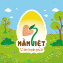 Trường Mầm Non Mầm Việt - Đan Phượng