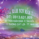 Trường Mầm Non Mầm Xanh - Dương Cát Lợi