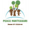 Trường Mầm non Ngôi nhà trẻ thơ Peace Montessori (Peace Montessori House of Children) - Hiệp Bình Chánh