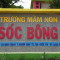Trường Mầm Non Sóc Bông - Khánh Bình