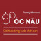 Trường Mầm non Sóc Nâu