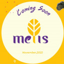 Trường Mầm non song ngữ Giáo dục sớm Metis Preschool - Liên Chiểu