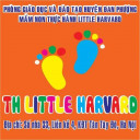Trường Mầm Non TH Little Harvard ( Học viện bé ngoan) - KĐT Tân Tây Đô - Đan Phượng
