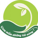 Trường Mầm Non Trí Tuệ Xanh - Hà Đông