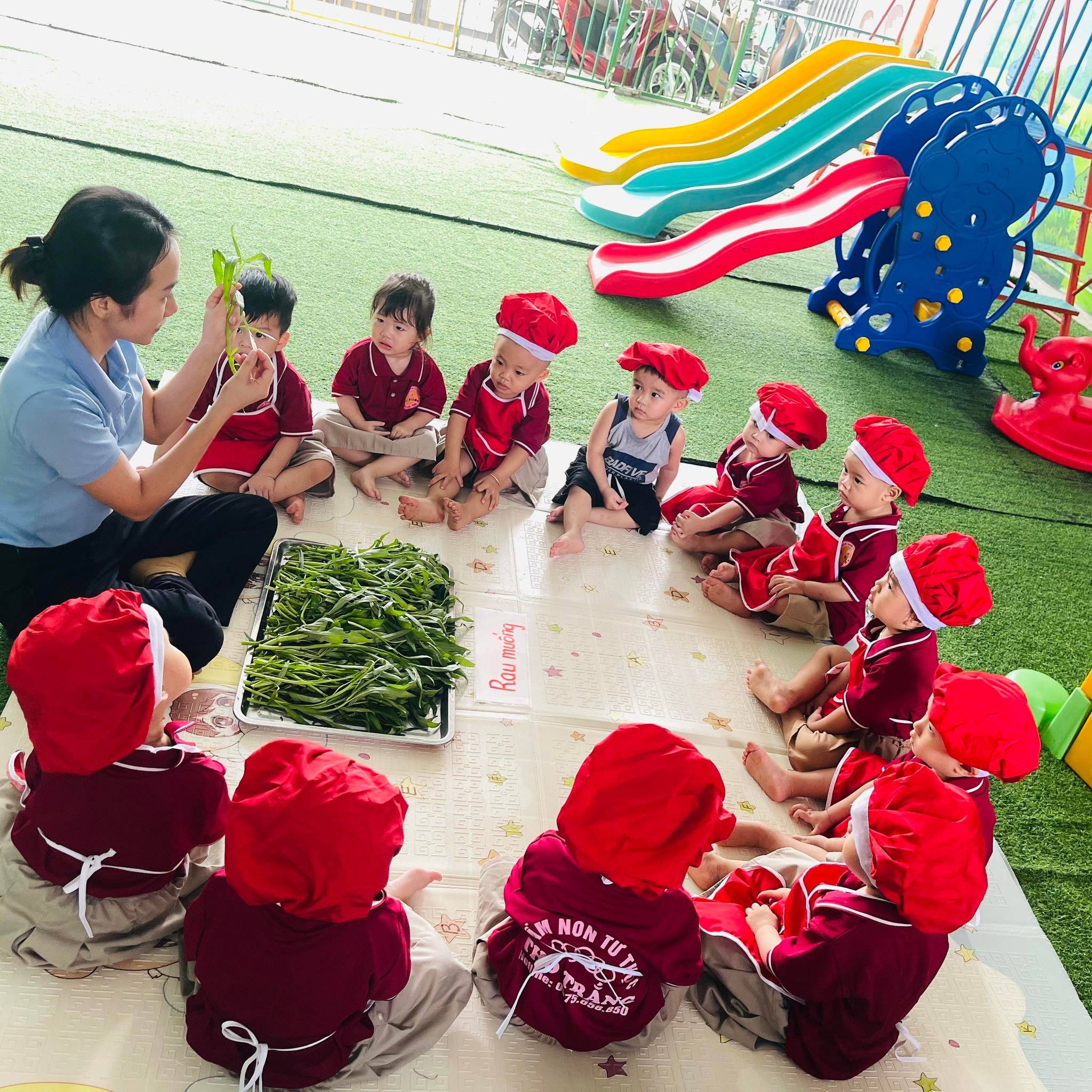 Trường Mầm non tư thục Thỏ Trắng - Mộ Đức