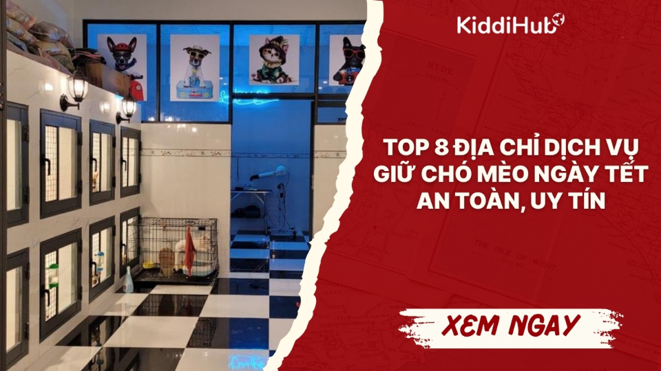 Top 8 địa chỉ dịch vụ giữ chó mèo ngày Tết an toàn, uy tín