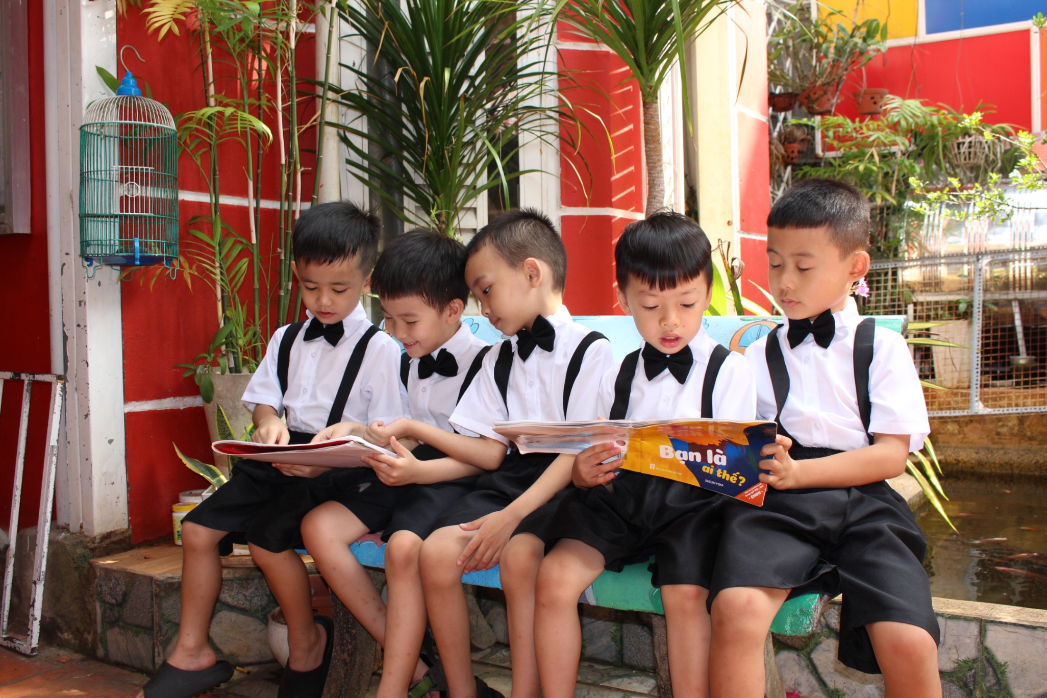 Image 2