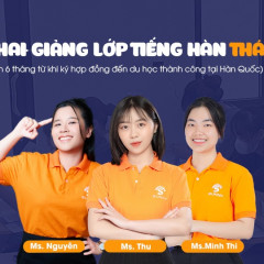 Du học và Đào tạo Hàn Ngữ Sunny - Gò Vấp